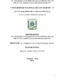 El desarrollo hermeneutico-jurídico de los impactos ambientales biodegradables
