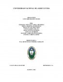 Tilapia en geomembrana