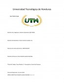 Los Grandes Sistemas operativos.