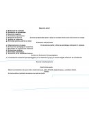 Acciones programadas para el apoyo en consejo técnico para los alumnos en rezago. Análisis de evidencias