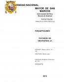 INTRODUCCIÓN MONOHIBRIDISMO I