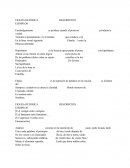 FIGURA RETÓRICA DESCRIPCIÓN EJEMPLOS