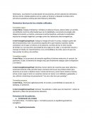 Turnalina rosa y Negra