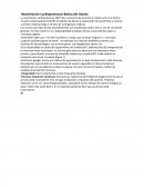 Reanimación Cardiopulmonar Básica del Adulto