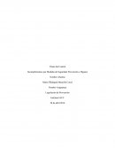 Incumplimientos por Medidas de Seguridad, Prevención e Higiene.