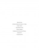 La Relación Sinérgica de la Salud y el Trabajo...