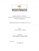 Epidemiologia piramide poblacional