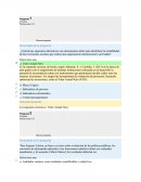 Cuál de las siguientes alternativas son instrumentos útiles para identificar la rentabilidad de las inversiones sociales que realiza una organización internacional o un Estado?