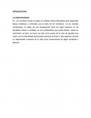 INTRODUCCION LA DISCAPACIDAD