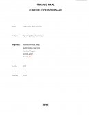 TRABAJO FINAL NEGOCIOS INTERNACIONALES