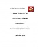 CONSECUENCIAS DE LEGALIZAR LA ADOPCIÓN HOMOPARENTAL