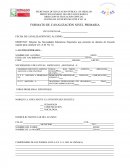 FORMATO DE CANALIZACIÓN NIVEL PRIMARIA