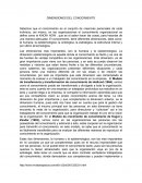 Dimensiones del conocimiento.