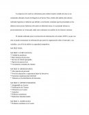 MATRIZ F: (FORTALEZAS)