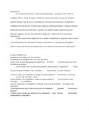 Las ideas y las prácticas democráticas