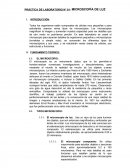PRÁCTICA DE LABORATORIO N° 01: MICROSCOPÍA DE LUZ