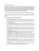 Producción de informe de texto.