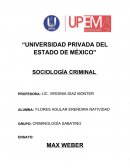 Teorías del Sociólogo Max Weber