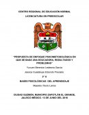 Bases psicológicas en las que se basa un educadora