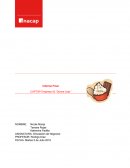 Informe Final CAPTOP Empresa Donne Ltda.