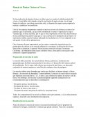 Manejo de Plantas Cítricas en Vivero.