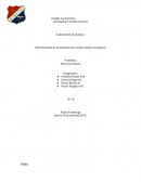Laboratorio de Química Determinación de la densidad de cuerpos sólidos irregulares