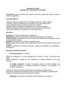 Organización y Participación Comunitaria.