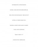 ENSAYO DE INVESTIGACIÓN: “TROPA DE ÉLITE”