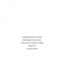 Fundamento de la Prevención de Riesgo