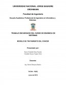 Modelo de tratamiento de Cancer - Dinamica de Sistemas.