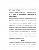 ORDINARIO DE NULIDAD DE NEGOCIO JURIDICO Y REIVINDICACIÓN DE LA PROPIEDAD. NUEVO.