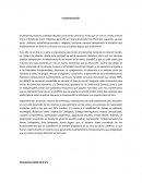 Palestina israel clase.