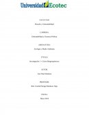 Investigación 1 – Ciclos Biogeoquímicos.