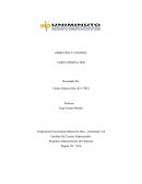 Programa Administración De Empresas. DIRECCION Y CONTROL