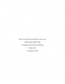 Control 7 de la investigación de la prevencion de riesgos IACC