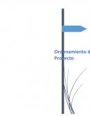 Ordenamiento de Proyectos.