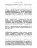 Traducción Concepto del río continuo