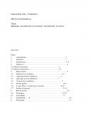 MEJORAR LAS SEÑALETICAS FUERA Y DENTRO DEL PLANTEL.