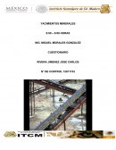 YACIMIENTOS MINERALES.