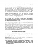 Actos ejecutados por el mandatario después de extinguido el mandato.