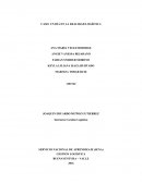 Un dia en red logistica.