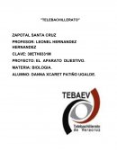 PROYECTO: EL APARATO DIJESTIVO.