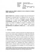 MEDIDA CAUTELAR RETENCIÒN DOMINOS