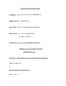 ORGANIZACIÓN- CONTRATO PSICOLOGICO.