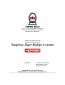 TIG GESTION DE OPERACIONES.