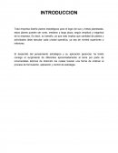 Formulación y planeamiento: Decisión y elección de estrategias