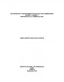 RECUPERACION Y MANTENIMIENTO DE SUELOS CON LOMBRIHUMUS