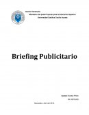 Briefing Publicitario
