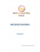 Estudio del comportamiento de los agentes individuales