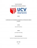 LA IMPORTANCIA DE LOS FUNDAMENTOS Y PRINCIPIOS EN LA PROTECCION DEL DERECHO DE MARCAS